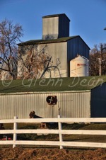 Brandon area farm
November 2009